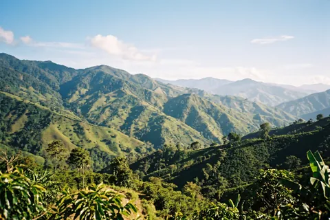 Montañas verdes de la zona cafetera
